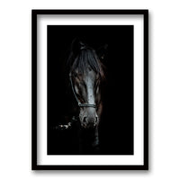 Cuadro Caballo B/N