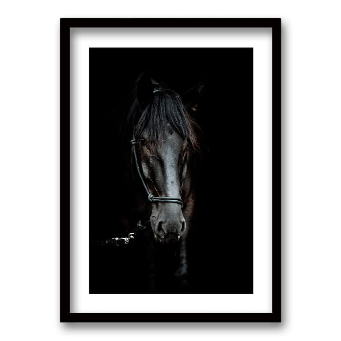 Cuadro Caballo B/N