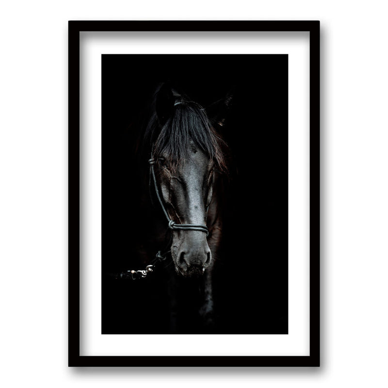 Cuadro Caballo B/N