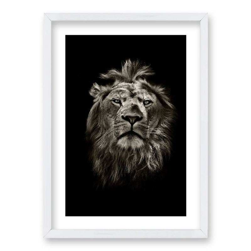 Cuadro León B/N