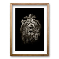 Cuadro León B/N