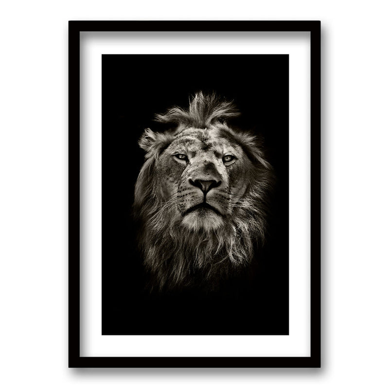 Cuadro León B/N