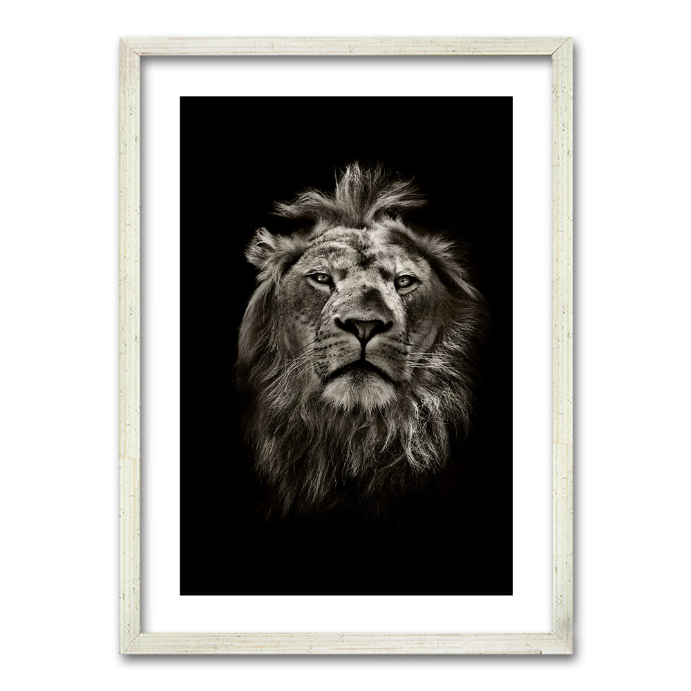 Cuadro León B/N