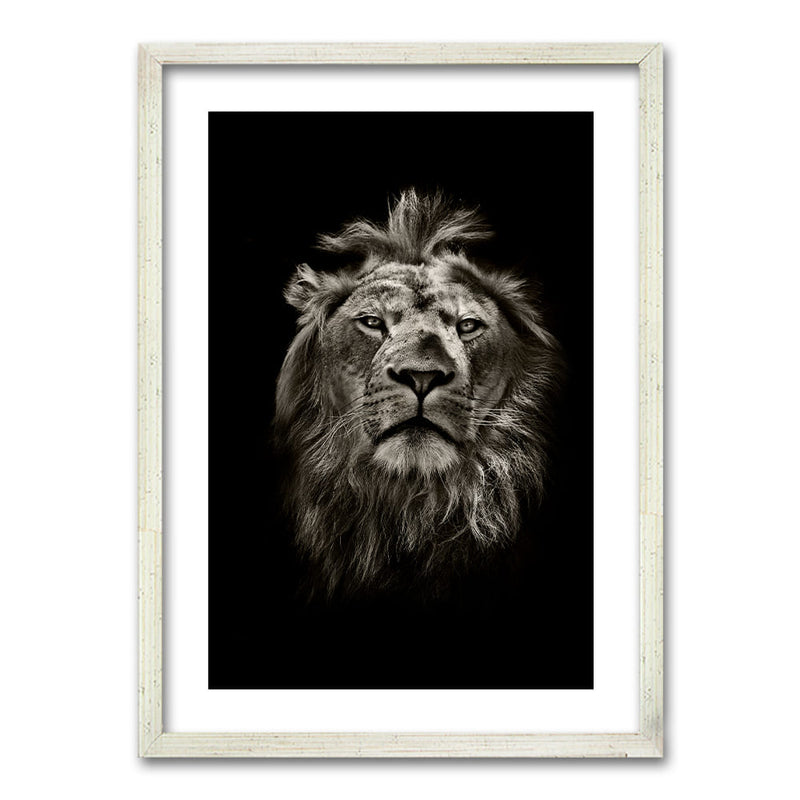 Cuadro León B/N