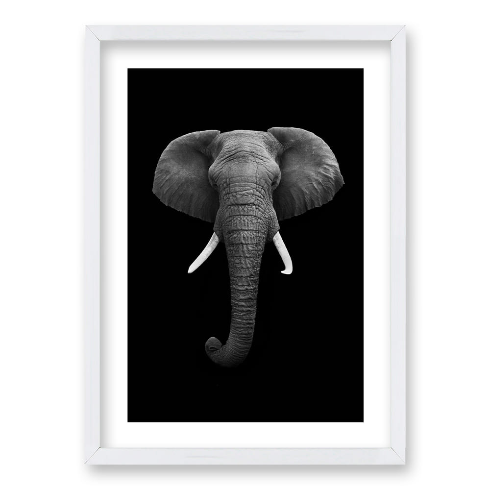 Cuadro Elephant B/N