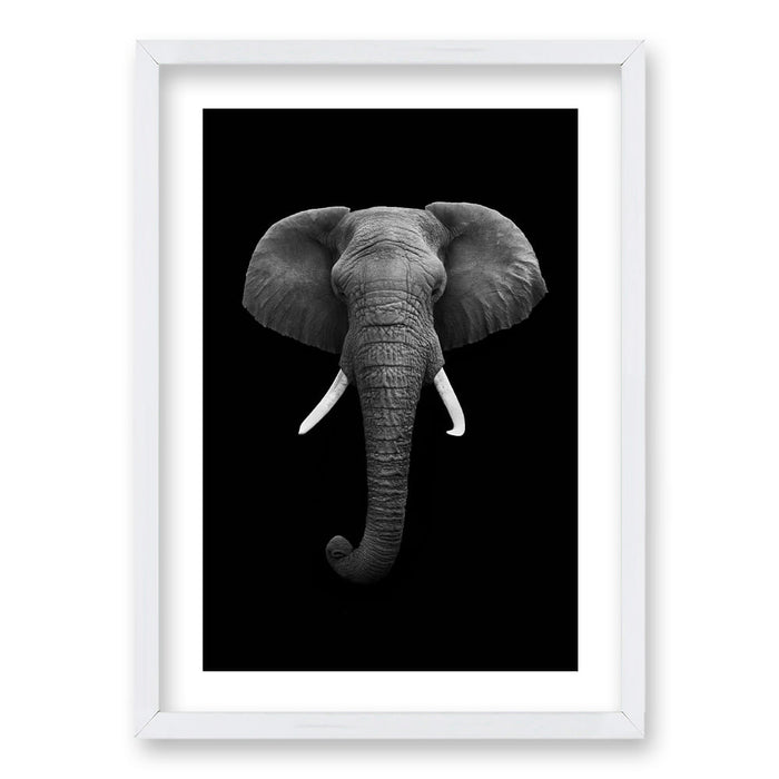 Cuadro Elephant B/N