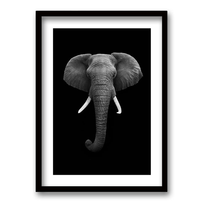 Cuadro Elephant B/N