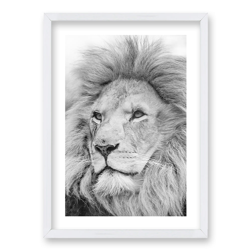 Cuadro León Gris