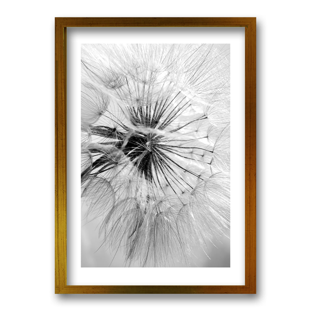 Cuadro Flor de León