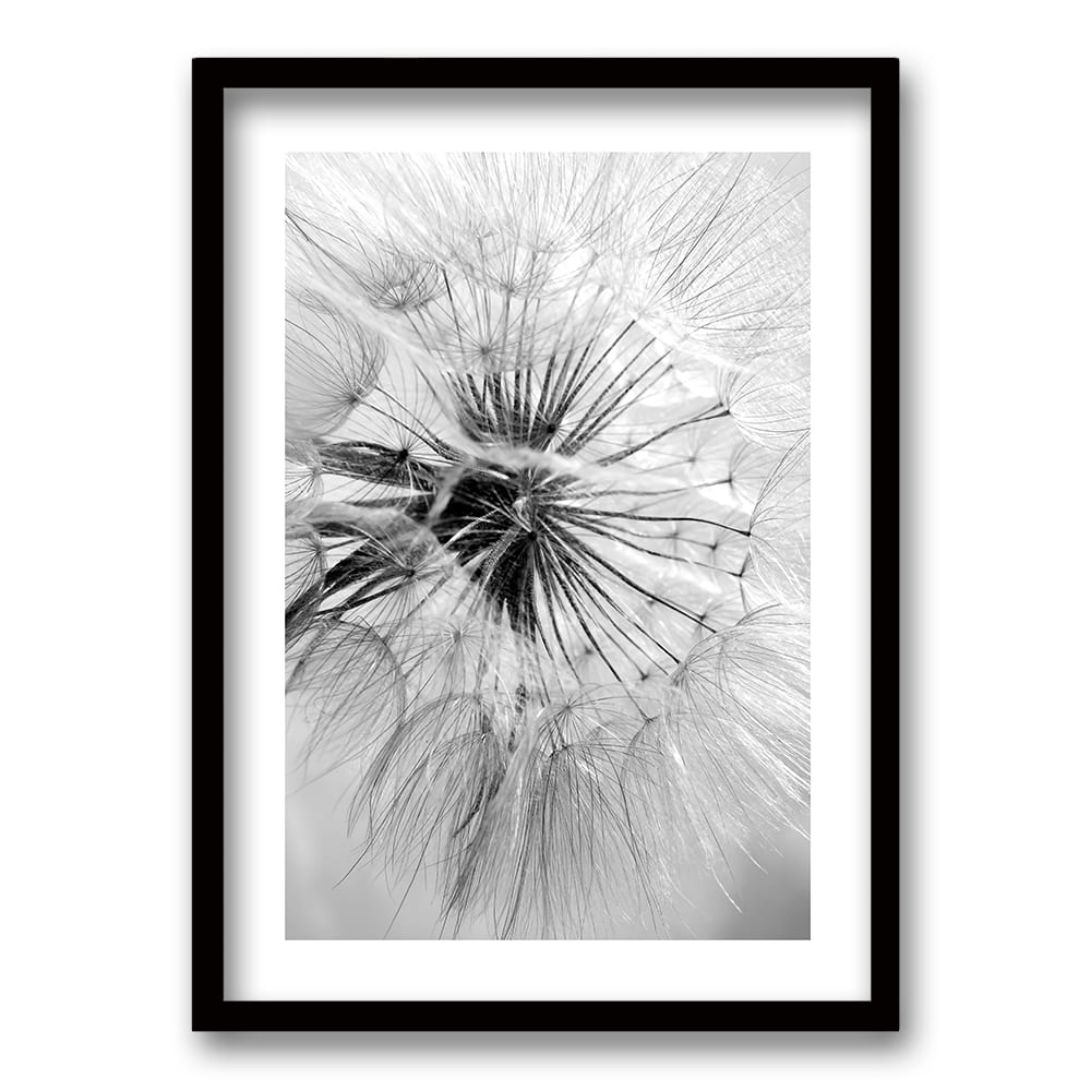Cuadro Flor de León