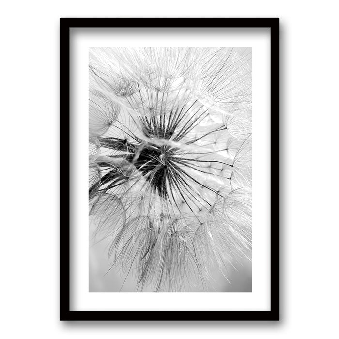 Cuadro Flor de León