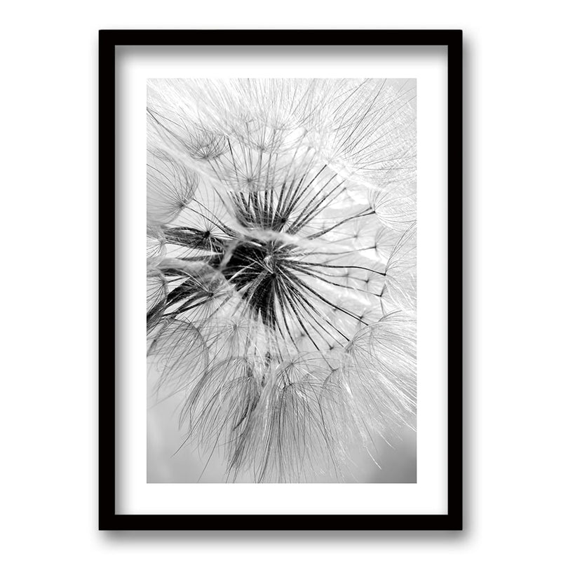 Cuadro Flor de León