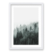 Cuadro Bosque BN