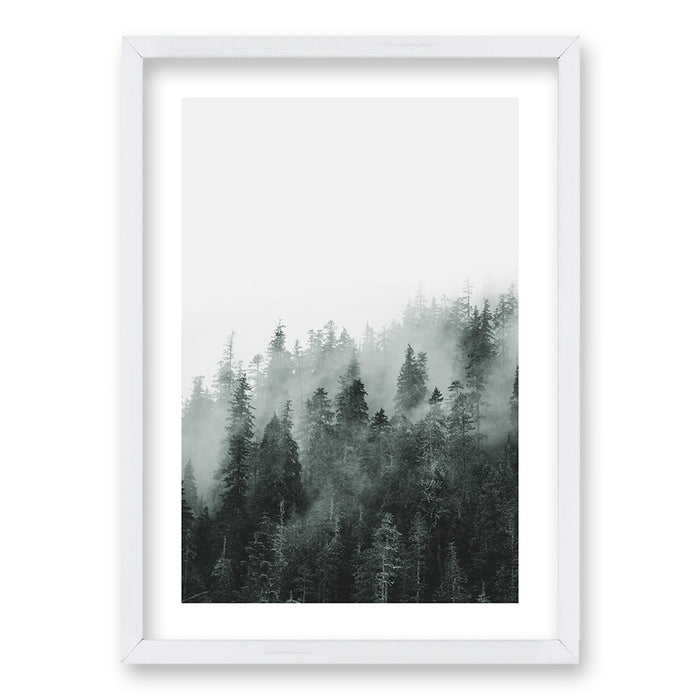 Cuadro Bosque BN