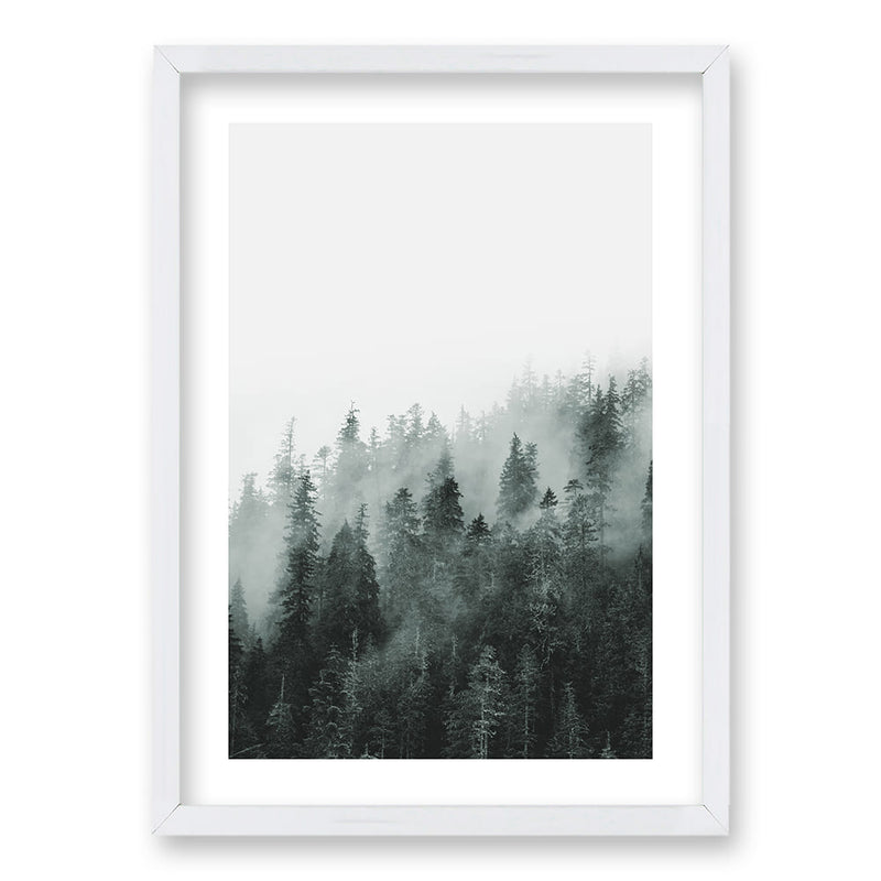 Cuadro Bosque BN