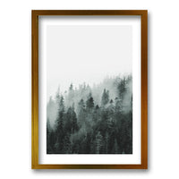 Cuadro Bosque BN