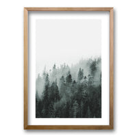 Cuadro Bosque BN