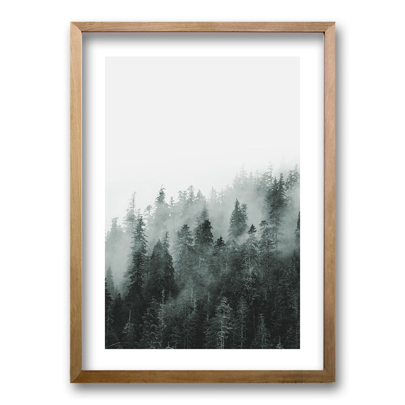 Cuadro Bosque BN