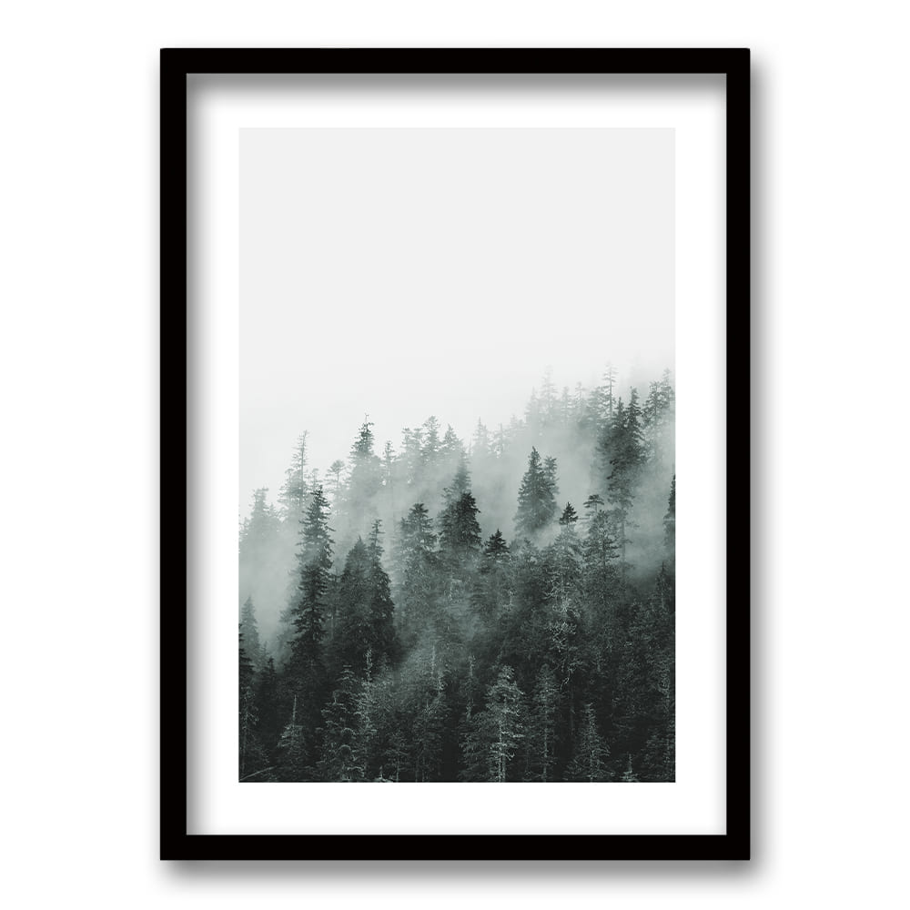 Cuadro Bosque BN