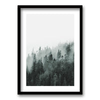 Cuadro Bosque BN