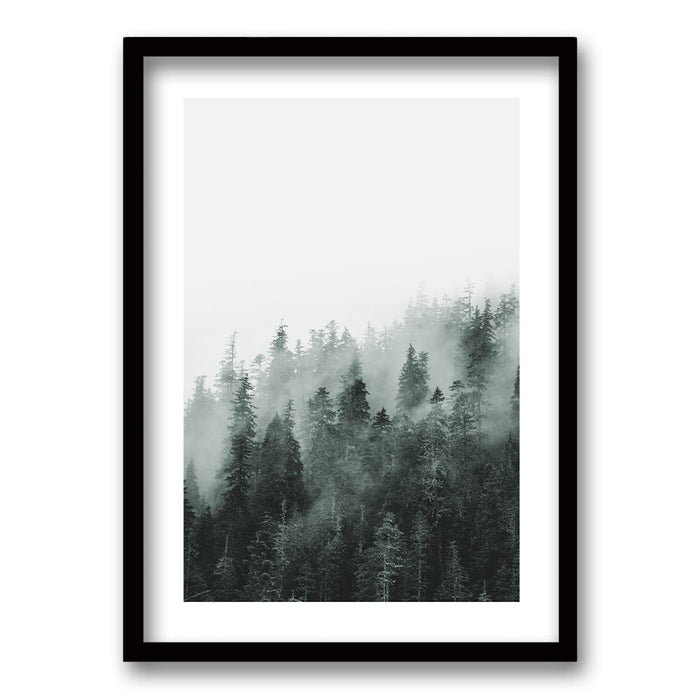 Cuadro Bosque BN