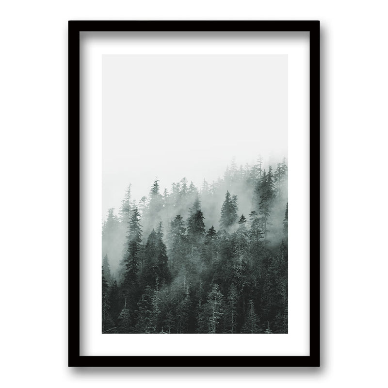 Cuadro Bosque BN