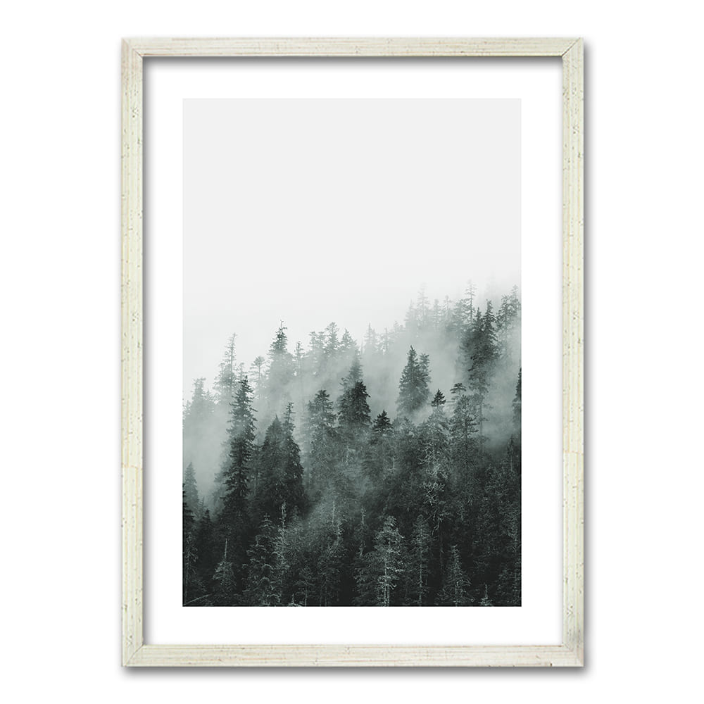 Cuadro Bosque BN