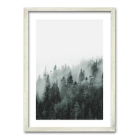 Cuadro Bosque BN