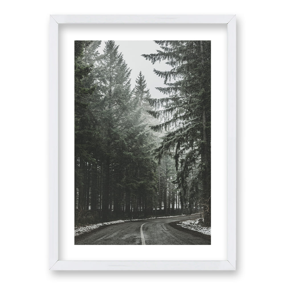 Cuadro Bosque BN II