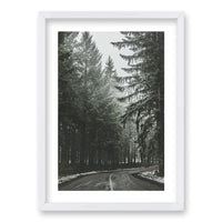Cuadro Bosque BN II