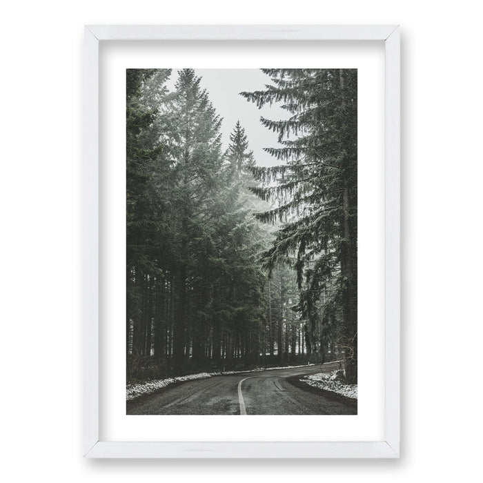 Cuadro Bosque BN II