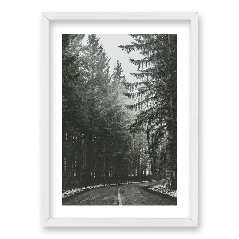 Cuadro Bosque BN II