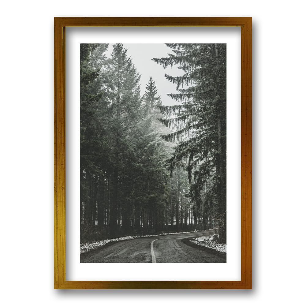 Cuadro Bosque BN II