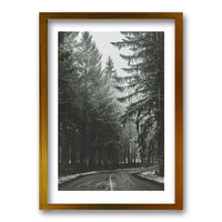 Cuadro Bosque BN II