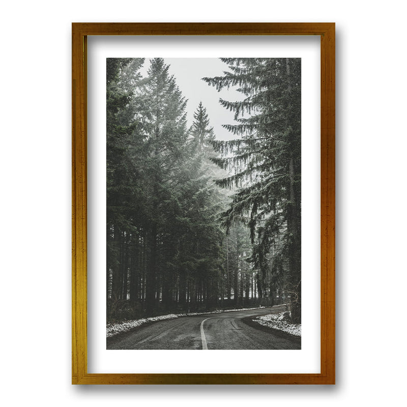 Cuadro Bosque BN II
