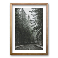 Cuadro Bosque BN II