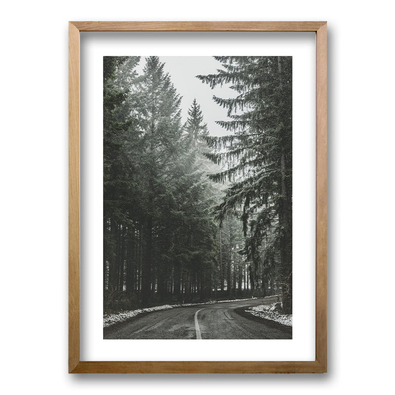 Cuadro Bosque BN II