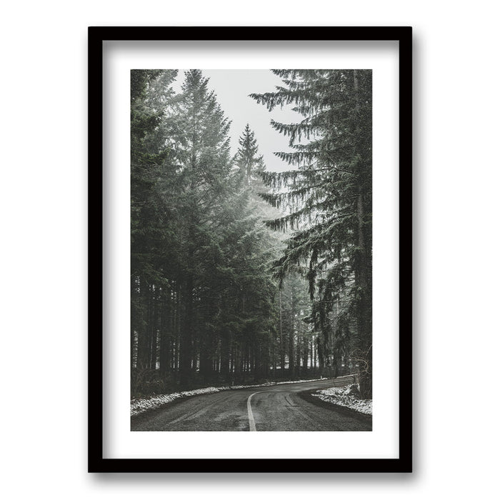 Cuadro Bosque BN II