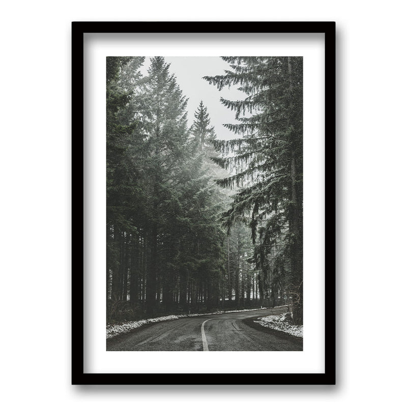 Cuadro Bosque BN II