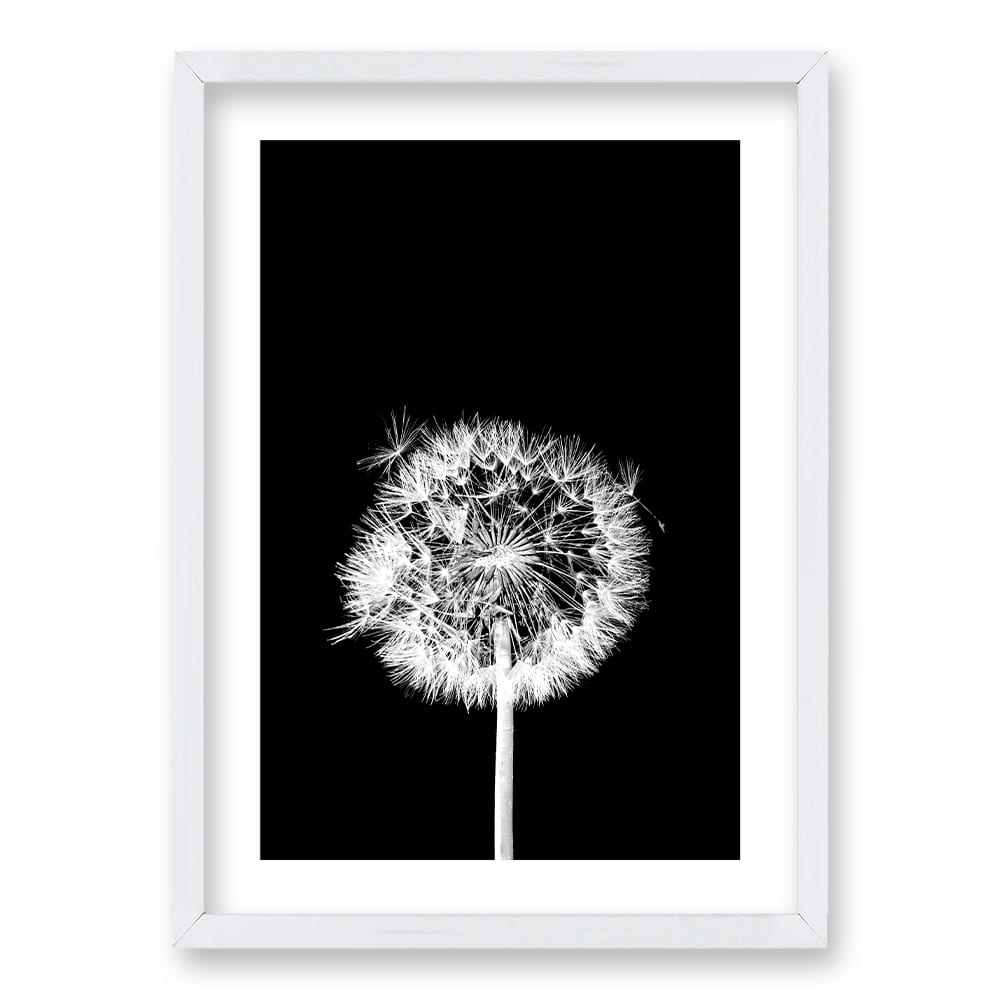 Cuadro Flor De Leon N