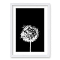 Cuadro Flor De Leon N