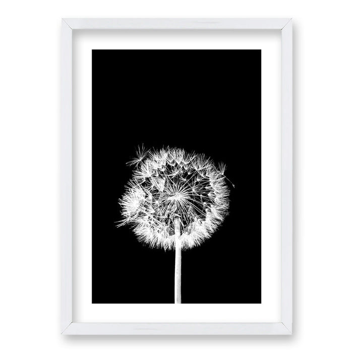 Cuadro Flor De Leon N