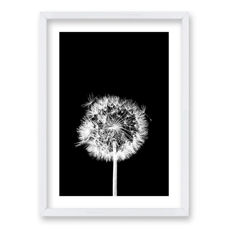 Cuadro Flor De Leon N