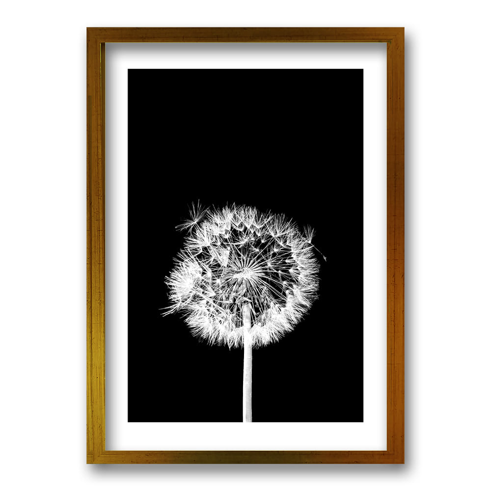Cuadro Flor De Leon N