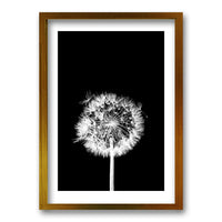 Cuadro Flor De Leon N
