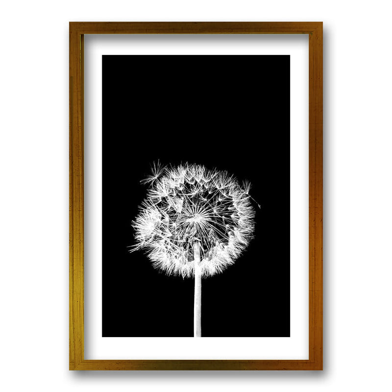 Cuadro Flor De Leon N