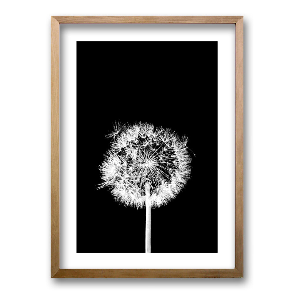 Cuadro Flor De Leon N