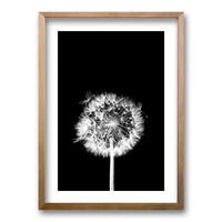 Cuadro Flor De Leon N