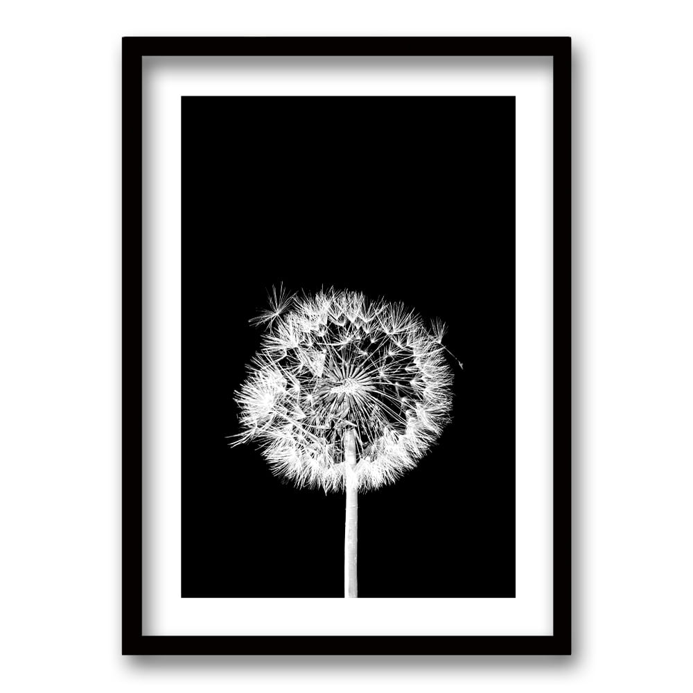 Cuadro Flor De Leon N