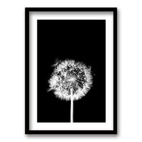 Cuadro Flor De Leon N